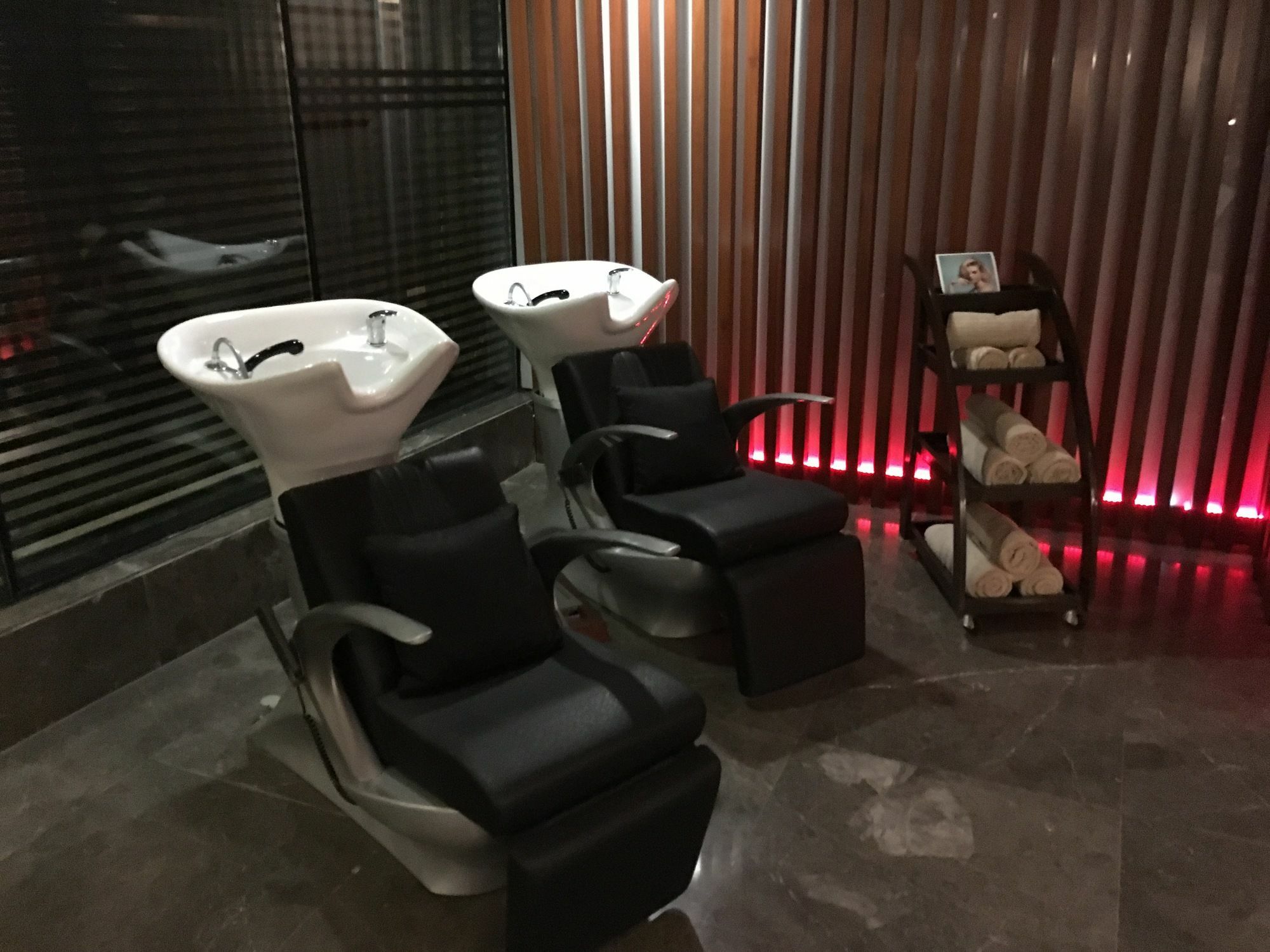 Radisson Blu Hotel Mbd Лудхиана Экстерьер фото